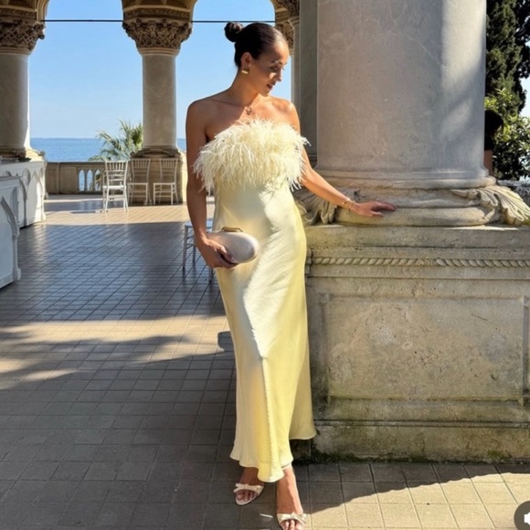 NWT ZARA  VIRAL 2025 COLLECTION FEATHERED SATIN  DRESS SIZE S and L
🚨FIRM PRICE - Picture 15 of 16